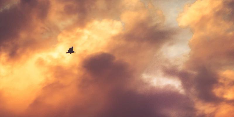 上海企业混合云网络架构设计:打通公有云与私有云的安全高效互联实践