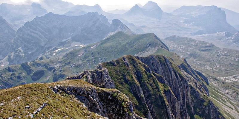 上海初创公司技术栈选择指南：如何在成本与性能间找到最佳平衡点