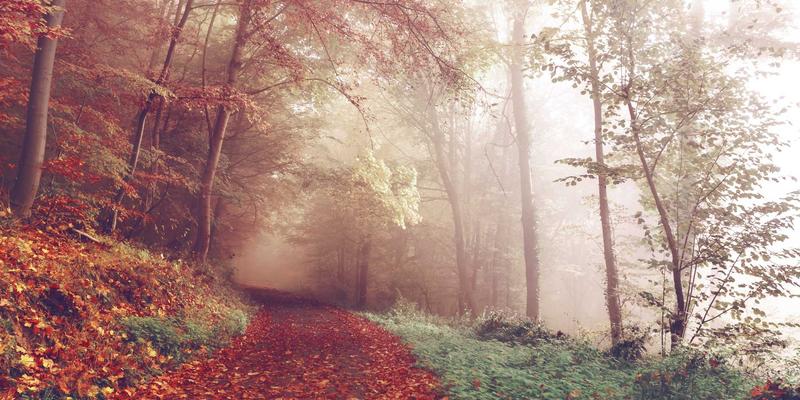 上海制造业企业如何成功实施工业互联网平台？网络集成是关键