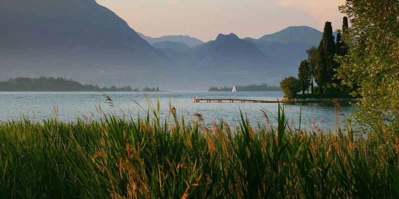 上海头部流媒体平台如何通过多云多活架构实现全球内容分发与智能调度
