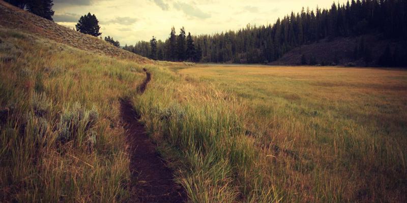 上海生物医药研发软件的数据合规破局：跨境传输挑战与隐私计算技术应用