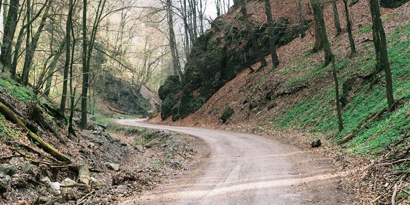 上海软件出海记：攻克全球网络差异的技术架构与部署策略全解析