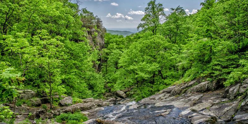 决胜毫秒之间：上海游戏行业服务器网络优化与低延迟技术实践